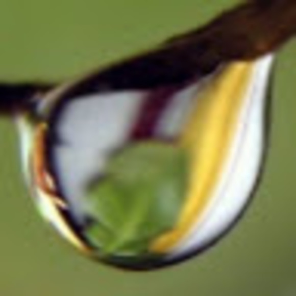 Meet your Posher, K - Picture 1 of 1